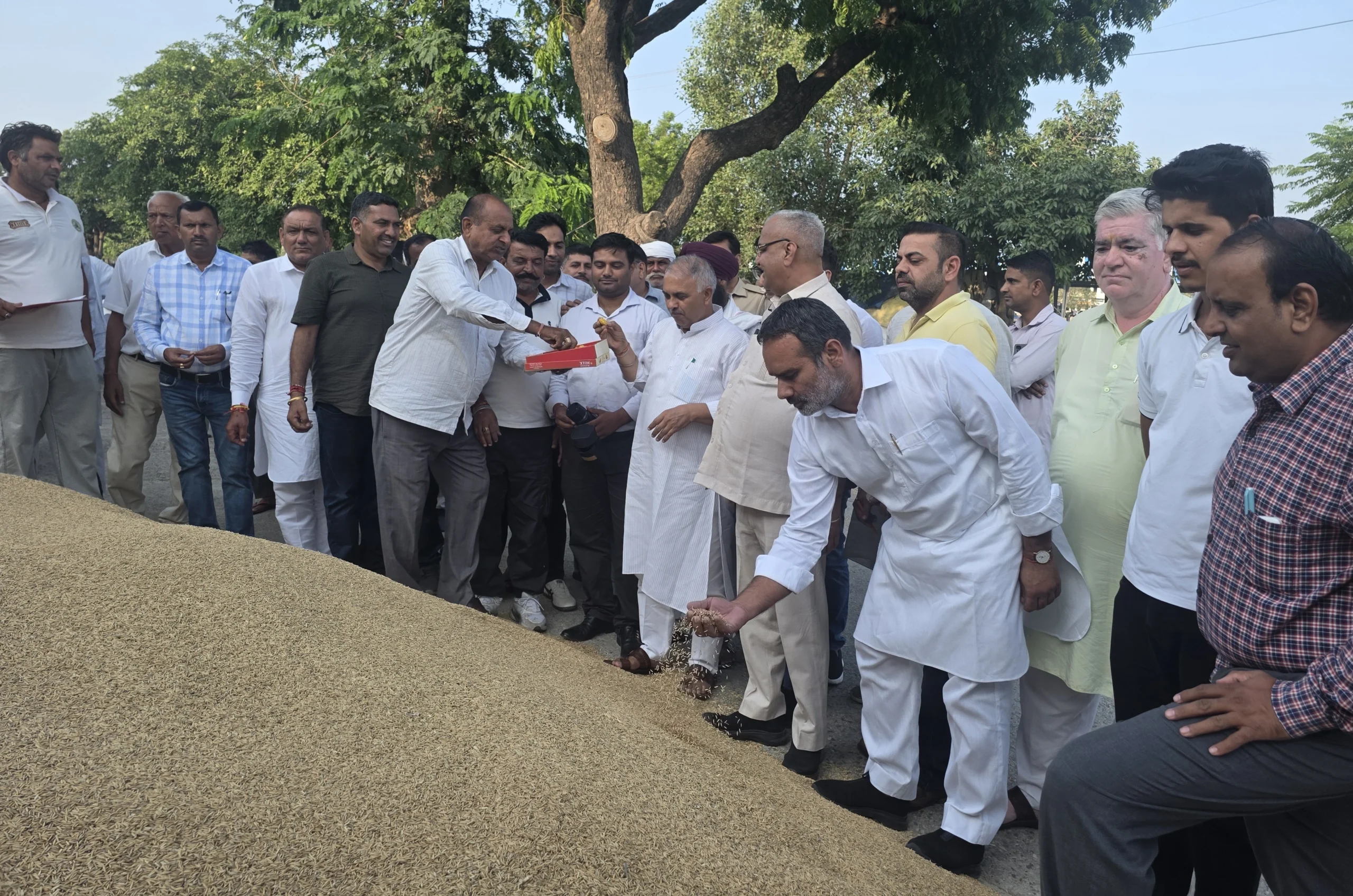 तरावड़ी अनाज मंडी में फसल खरीद का शुभारंभ, विधायक भगवानदास कबीरपंथी ने किसानों को दिया राहत का भरोसा