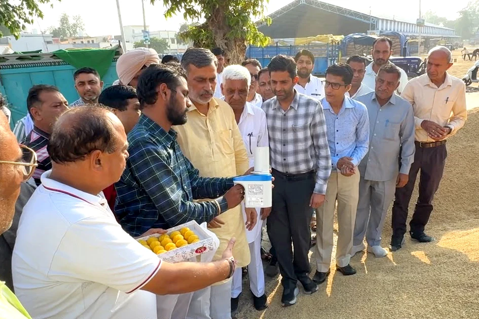 रादौर अनाज मंडी में सरकारी धान खरीद शुरू, किसानों को 48 घंटे में भुगतान का मिला आश्वासन