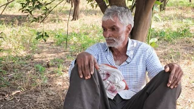 'एक भी संतरा बाज़ार नहीं पहुंचा, पूरे बाग़ सूख गए': महाराष्ट्र के सैकड़ों किसानों का दर्द