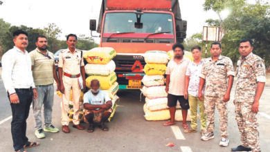 पौने 3 करोड़ का गांजा जब्त, महाराष्ट्र के 2 बंदी