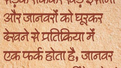 पृष्ठभूमि के लिए दीवार या धूप में पकी हुई मिट्टी की बनावट