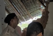 हाथी दल ने मकान तोड़े और फसलें रौंदी