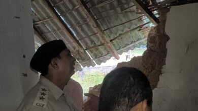हाथी दल ने मकान तोड़े और फसलें रौंदी