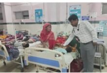 मध्य प्रदेश के मंडला में रतनजोत के बीज खाने से 7 मासूम बीमार, जिला अस्पताल इलाज जारी