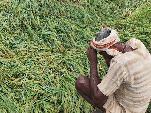 लातूर : फसल बर्बाद होने और बेटी की पढ़ाई के खर्च ने किसान को आत्महत्या करने पर मजबूर किया