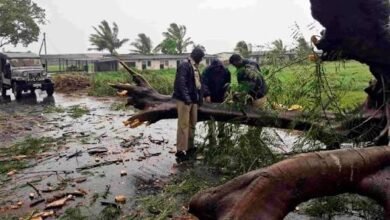 साइक्लोन अर्नब: आंध्र प्रदेश में पांच लोगों की मौत, भारी बारिश के बीच लोगों को घरों से बाहर न निकलने की सलाह