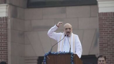 रियासतों में बंटे देश को सरदार पटेल ने एक सूत्र में पिरोया : अमित शाह