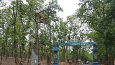अचानकमार टाइगर रिजर्व में कल से जंगल सफारी, अब केंवची गेट से भी मिलेगी एंट्री