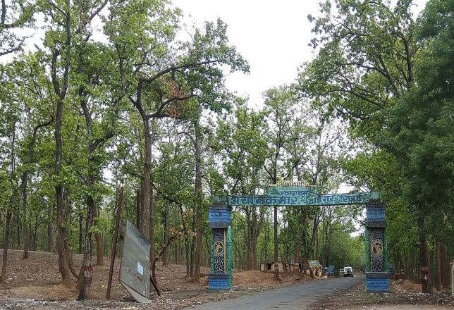 अचानकमार टाइगर रिजर्व में कल से जंगल सफारी, अब केंवची गेट से भी मिलेगी एंट्री