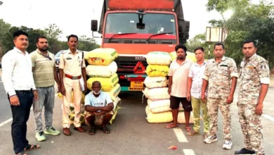 ऑपरेशन निश्चय का बड़ा प्रहार: रेहटीखोल में 560 किलो गांजा जब्त, महाराष्ट्र के दो तस्कर गिरफ्तार।