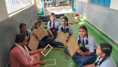 सेजेस नयापारा में तीन दिवसीय हस्तशिल्प कार्यशाला का आयोजन, 100 विद्यार्थियों ने सीखी भारतीय लोककला की बारीकियाँ.