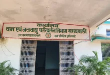 फ़िल्टर: 0; फ़ाइलटर तीव्रता: 0.0; फ़िल्टरमास्क: 0; कैप्चरओरिएंटेशन: 0;एचडीआरफॉरवर्ड: 0; मल्टी-फ़्रेम: 1;मॉड्यूल: फ़ोटो;hw-रेमोज़ेक: ग़लत;स्पर्श: (-1.0, -1.0);दृश्यम...