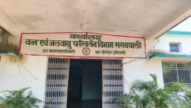 फ़िल्टर: 0; फ़ाइलटर तीव्रता: 0.0; फ़िल्टरमास्क: 0; कैप्चरओरिएंटेशन: 0;एचडीआरफॉरवर्ड: 0; मल्टी-फ़्रेम: 1;मॉड्यूल: फ़ोटो;hw-रेमोज़ेक: ग़लत;स्पर्श: (-1.0, -1.0);दृश्यम...