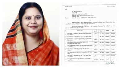 सांसद रूपकुमारी चौधरी के प्रयास से भीखापाली–कोकड़ी पुलिया निर्माण की राह हुई आसान, प्रशासकीय स्वीकृति की प्रक्रिया तेज।