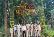 ताला, मगधी और खितौली गेट खुले, पहले दिन बाघिन के दीदार से पर्यटकों में उत्साह